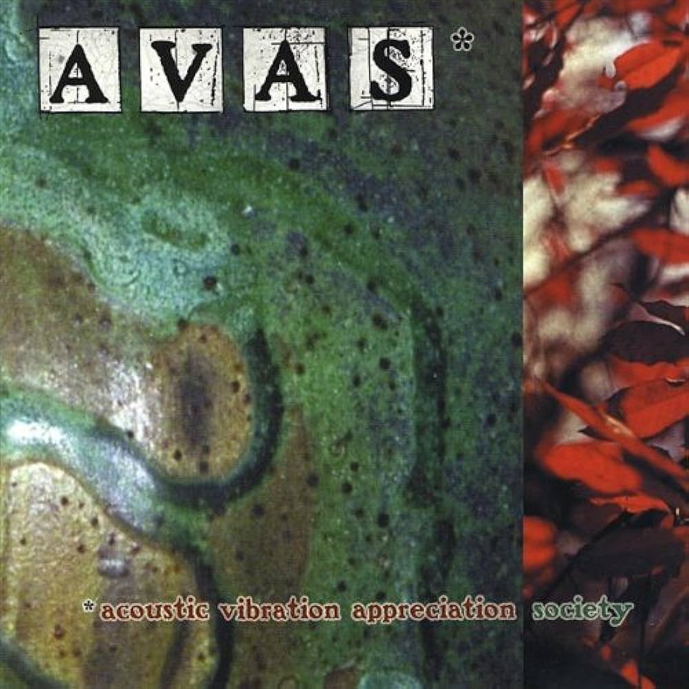 Acoustic Vibration Appreciation Society band or project photo